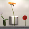 RVS brandslanghaspelkast met brandblussercompartiment en brandmelder