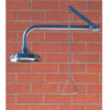 RVS nooddouche wandmodel